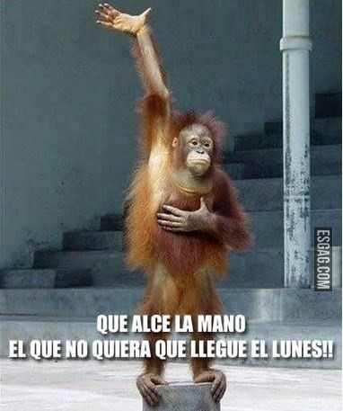 Mas de uno levantó la mano, cierto?