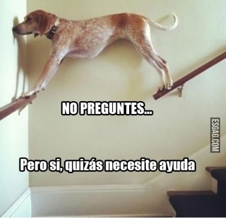Mejor no preguntes...