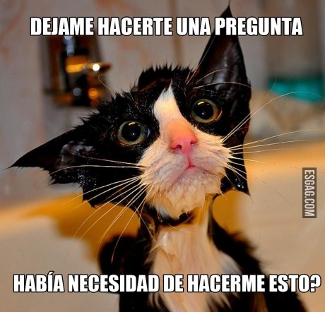Una sola pregunta te hago...