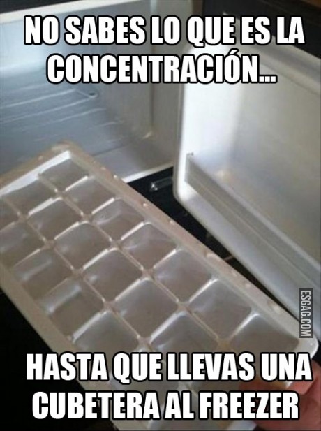Un buen motivo para concentrarse