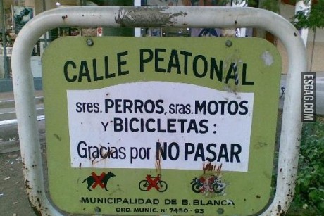 Mas que nada el perro entendió el mensaje