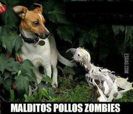 Lindo animalito...