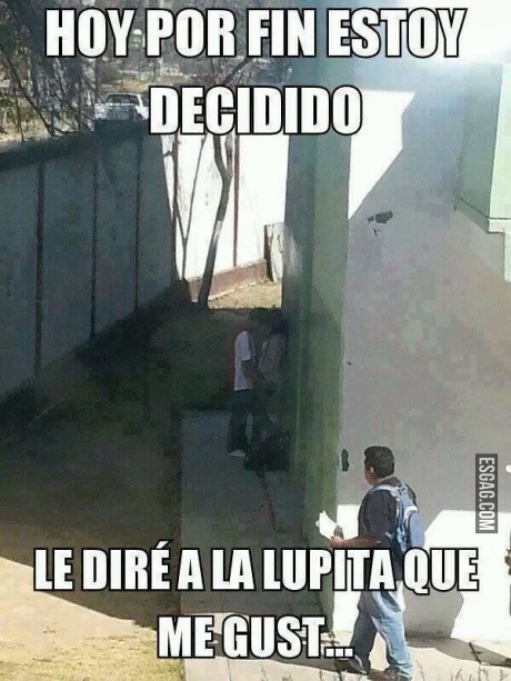 Por fin hoy me decidí