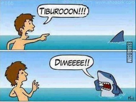 Tiburón!