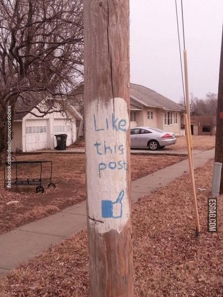 El verdadero like this post