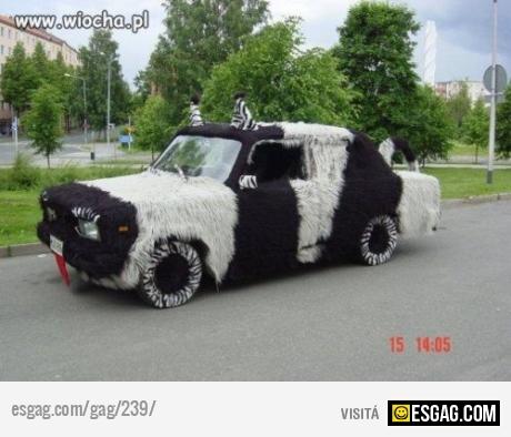 Peluche car
