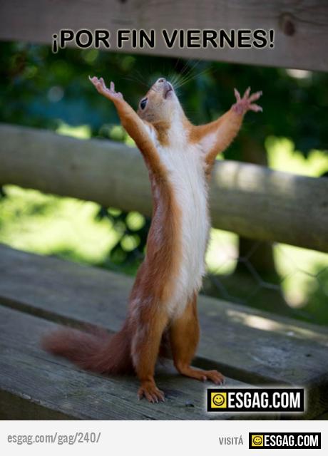 Por fin viernes!