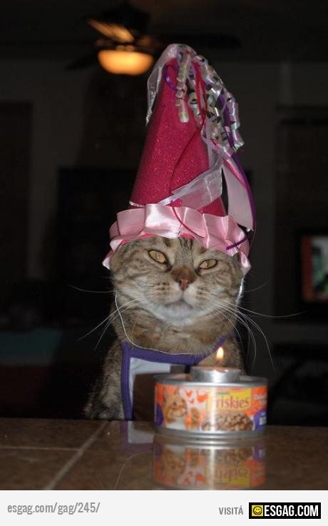 ODIO LOS CUMPLEA&Ntilde;OS!