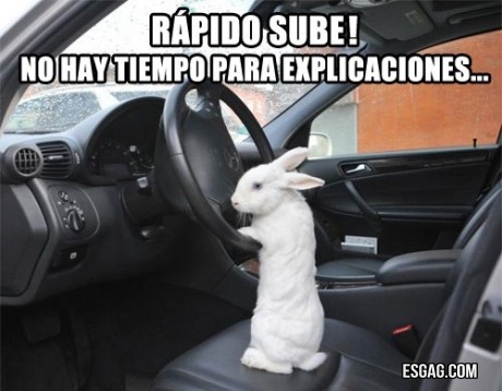 Después te explico