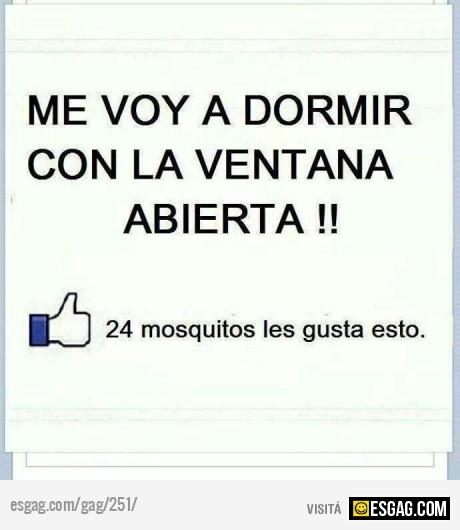 Voy a dormir con la ventana abierta