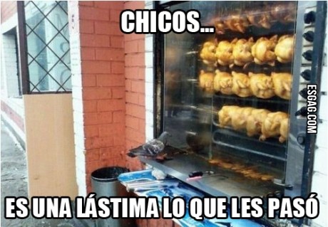 Una empática paloma...
