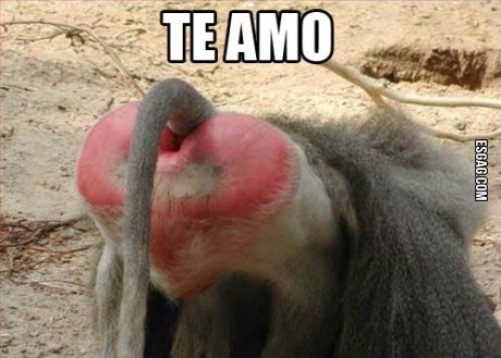 Te amo, así... simple