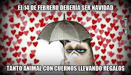 Reflexiones para este día