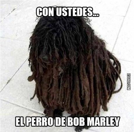 Con ustedes...