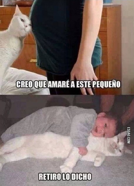 Pensándolo bien... 