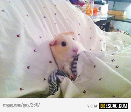 No puedo seguir viendo pel&iacute;culas de terror.