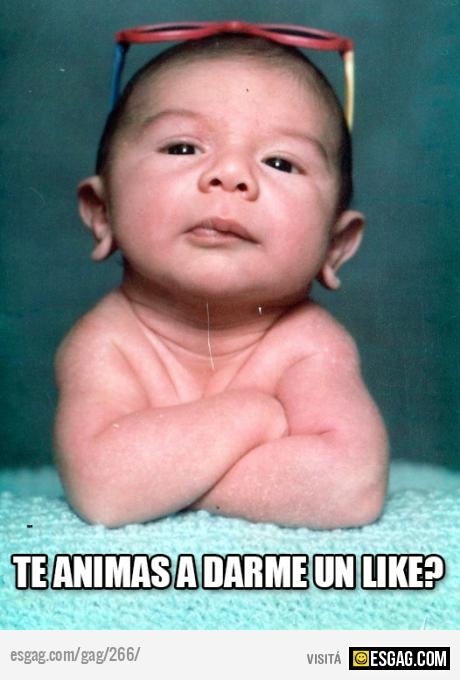 A QUE NO TE ANIMAS?