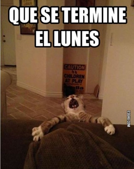 Que se termine el lunes