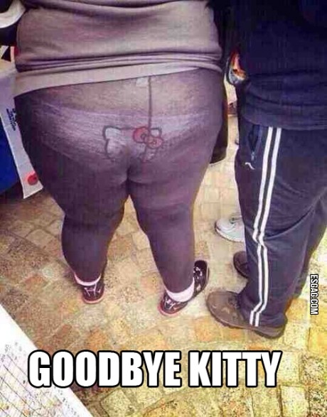 Goodbye Kitty