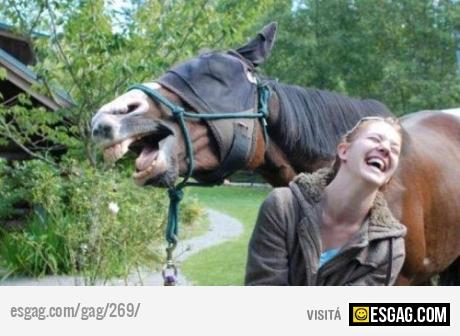 Hasta el caballo entendi&oacute; el chiste