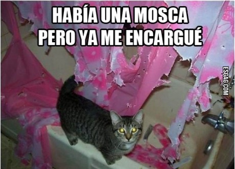 Lo que pasa es que...
