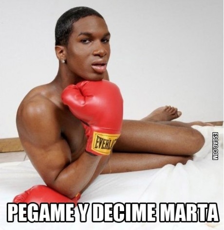 Descripción gráfica