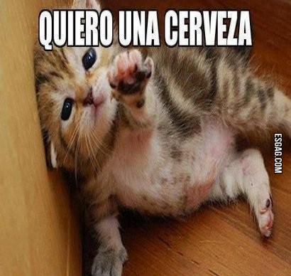 Por favor, me alcanzás una?