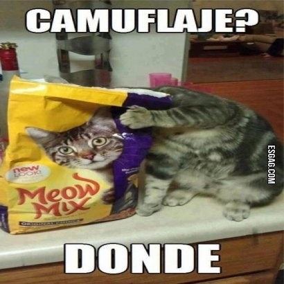 Camuflaje? Dónde?