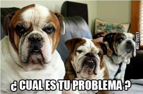 Cuál es tu problema?
