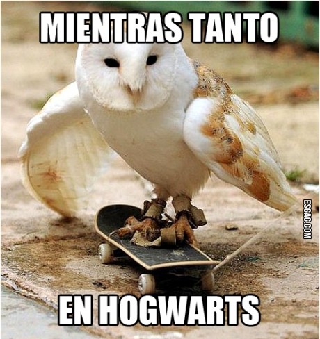 Escuela de magia y hechicería
