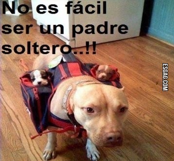 Padres solteros... tarea difícil
