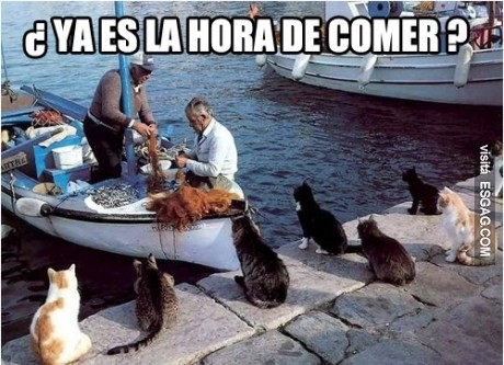 A comeeer!!!