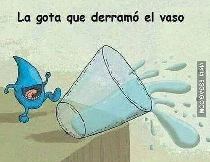 Descripción gráfica