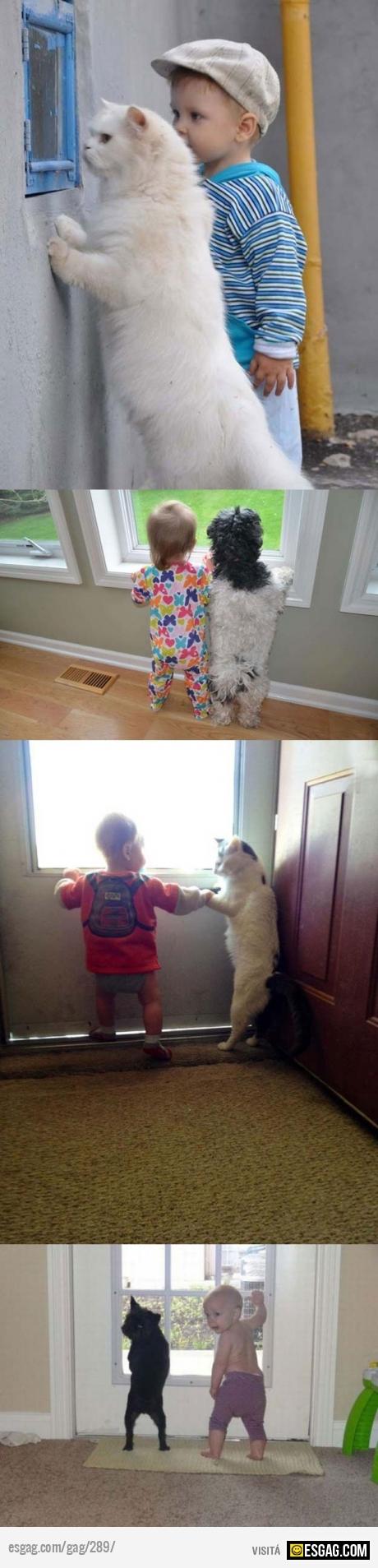 La amistad entre ni&ntilde;os y animales...