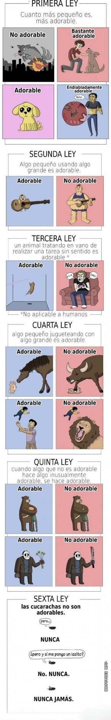 6 leyes fundamentales