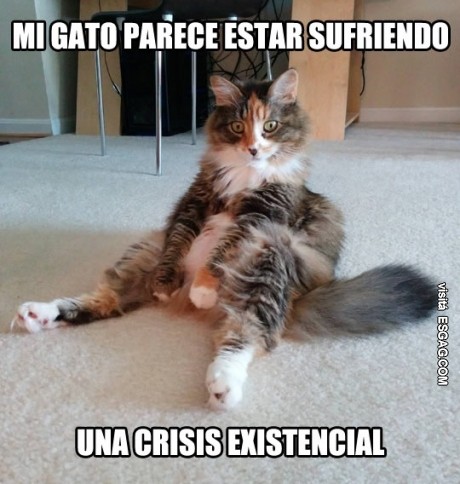 Ser o no ser?