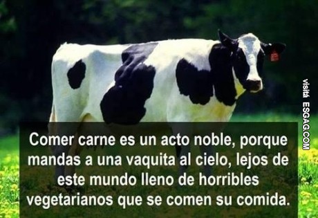 Argumentos para rebatir a un vegetariano