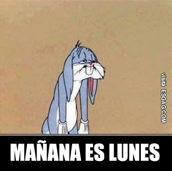 No pasa nada conejito... es feriado!