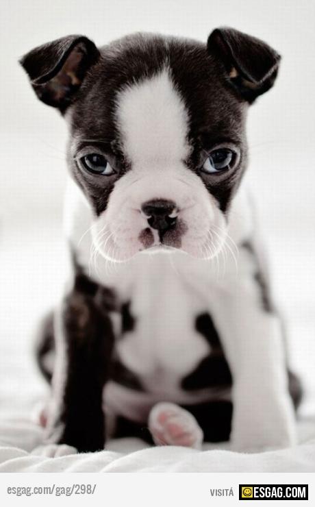 Mir&aacute; que llamo a mi pap&aacute;....