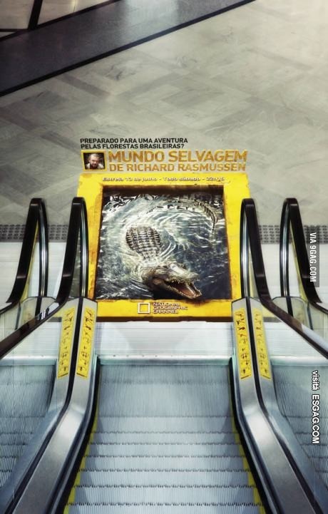 Nat Geo y sus ingeniosas publicidades