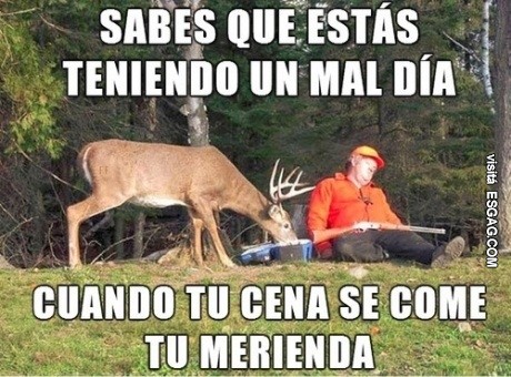 Cualquiera tiene un mal día