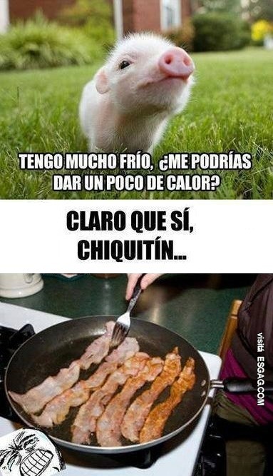 Imágenes impactantes