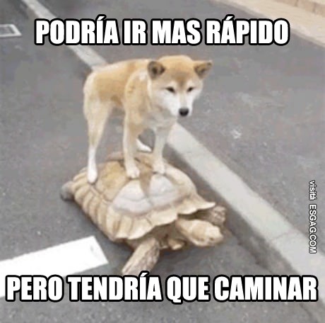 Pereza... nivel: extremo