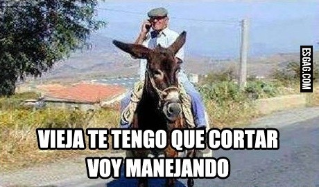 Seguridad vial 