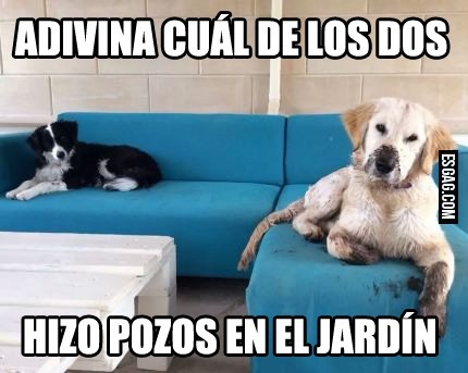 Adivina adivinador...