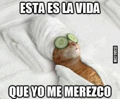 Uno debe tener lo que merece