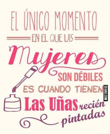 Feliz día