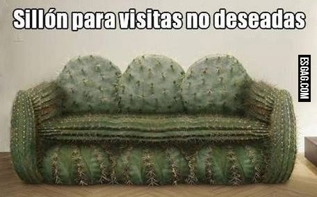A quien vas a sentar?