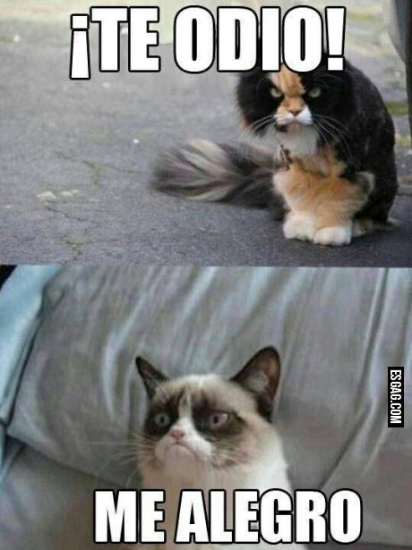 Me tiene sin cuidado