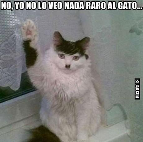 Parecidos extraños